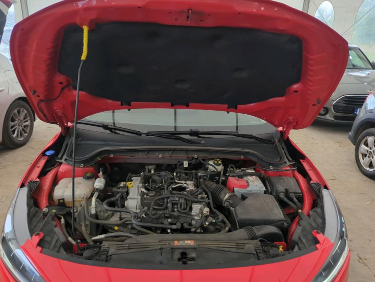 FORD Focus Petrol 2024