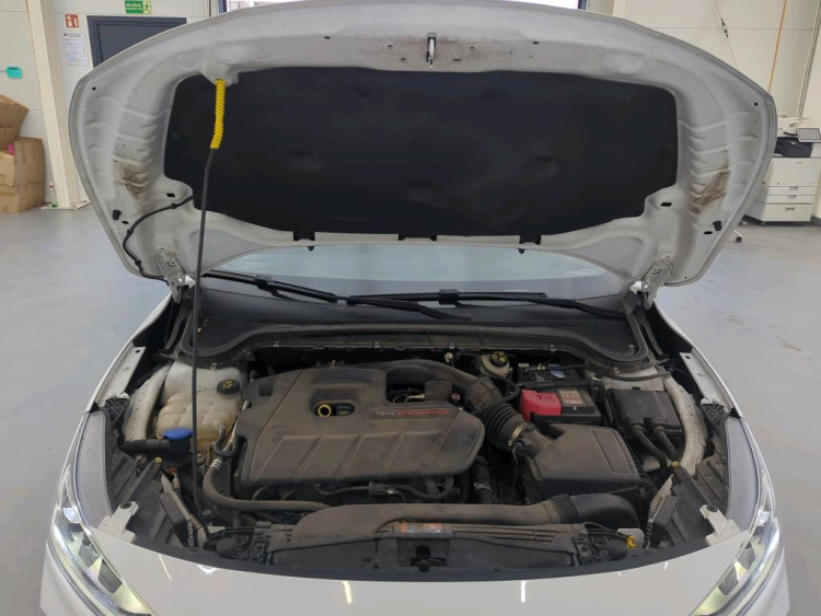 FORD Focus Petrol 2024