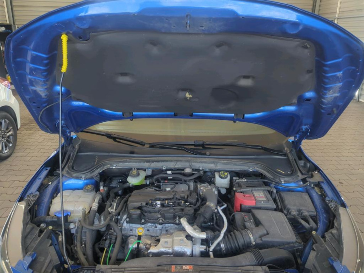 FORD Focus Diesel 2024