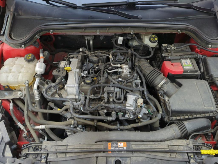FORD Focus Petrol 2024