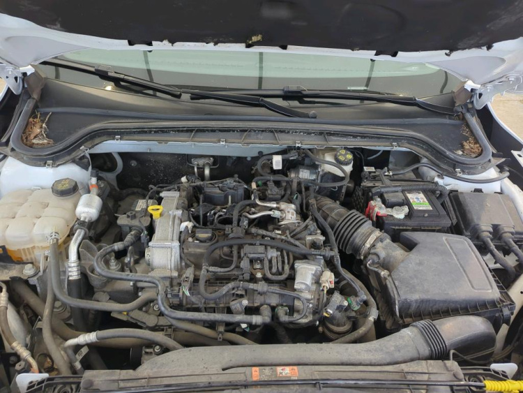 FORD Focus Petrol 2024