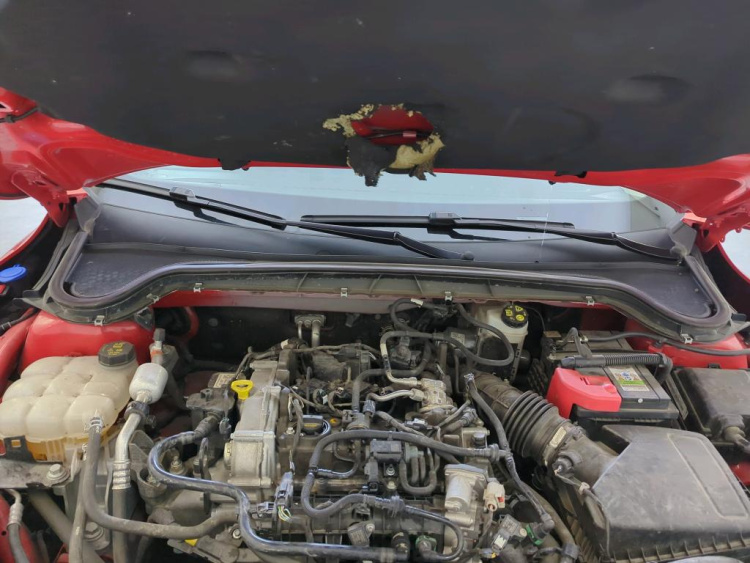 FORD Focus 1.0 EcoBoost Petrol 2024