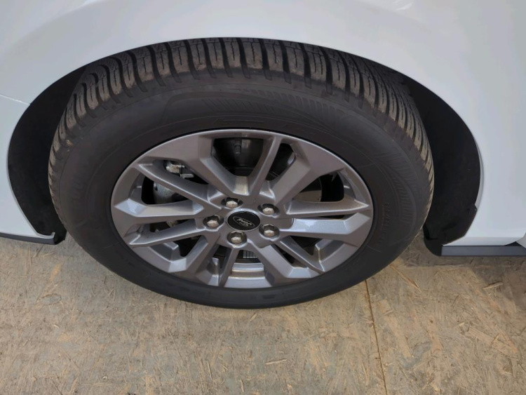 FORD Focus Petrol 2024