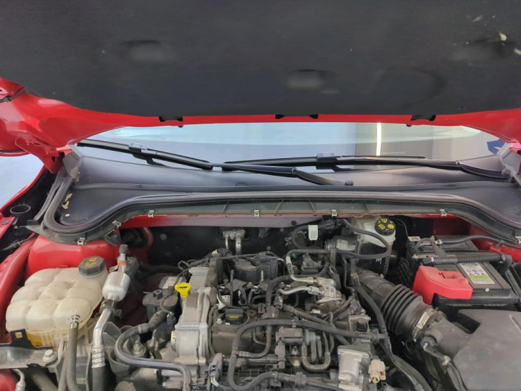 FORD Focus Petrol 2024