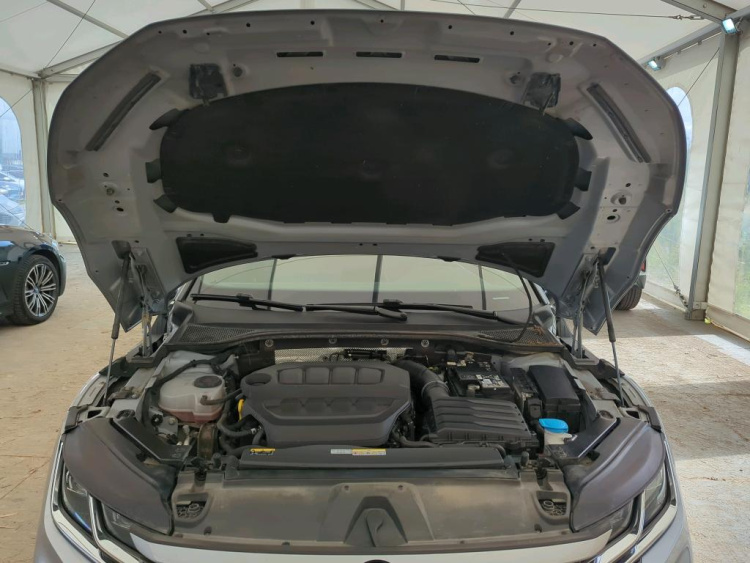 VOLKSWAGEN Arteon 2.0 TSI DSG Petrol 2024