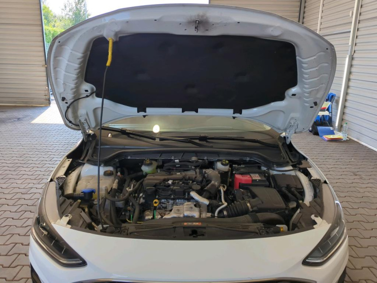 FORD Focus 1.5 EcoBlue Diesel 2024