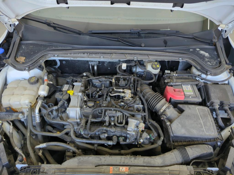 FORD Focus Petrol 2024