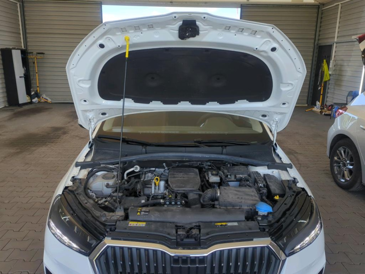 SKODA Fabia LPG 2024