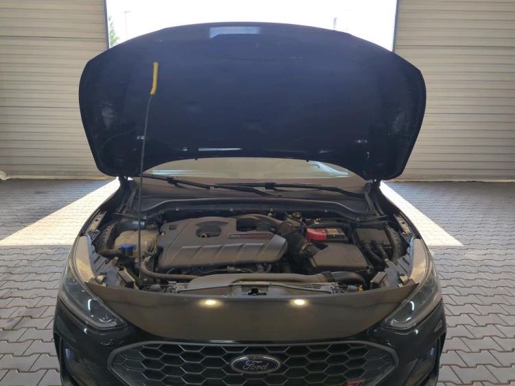 FORD Focus Petrol 2024