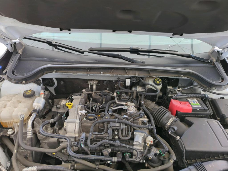 FORD Focus Petrol 2024