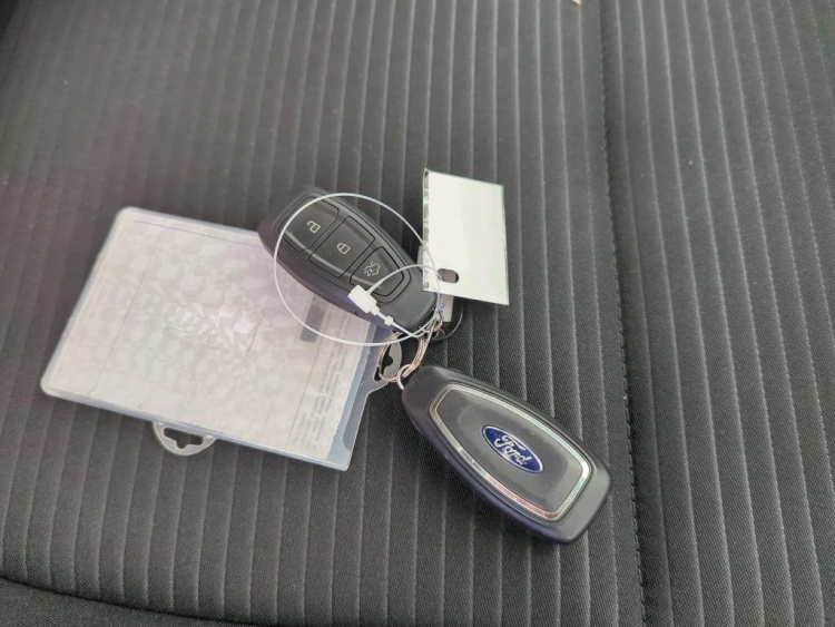 FORD Focus Petrol 2024