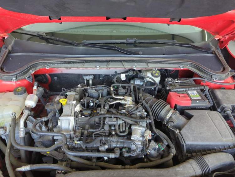 FORD Focus Petrol 2024
