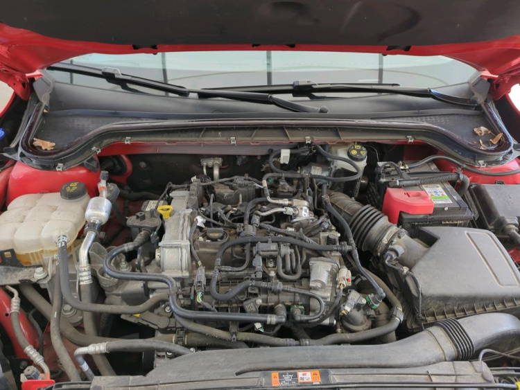 FORD Focus Petrol 2024