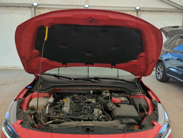 FORD Focus Petrol 2024