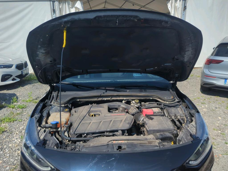 FORD Focus Petrol 2024