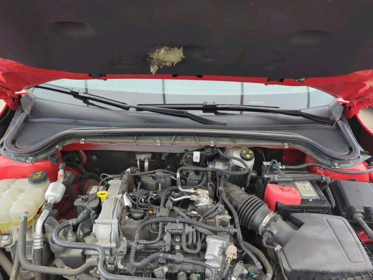 FORD Focus 1.0 EcoBoost Petrol 2024
