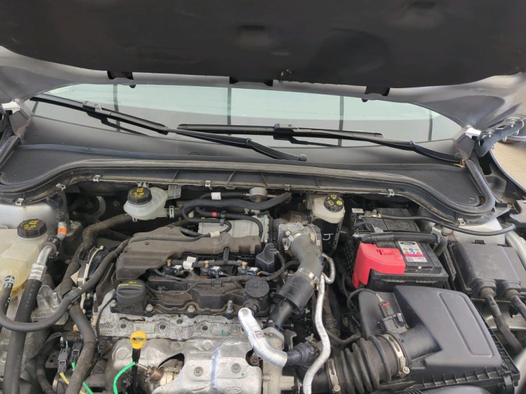FORD Focus Diesel 2024