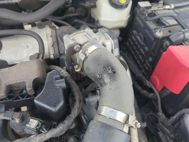 FORD Focus Diesel 2024