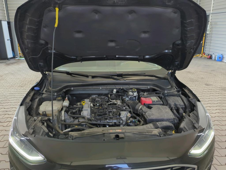 FORD Focus Petrol 2024