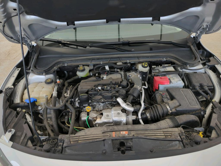 FORD Focus Diesel 2024