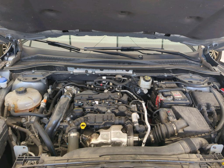FORD Kuga Diesel 2022