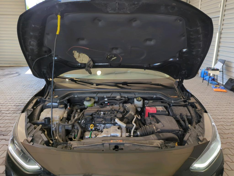 FORD Focus Diesel 2024