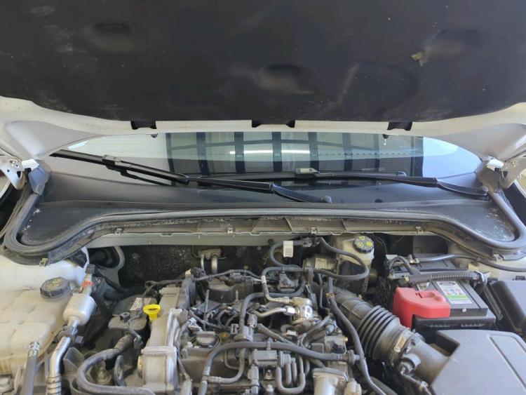 FORD Focus Petrol 2024
