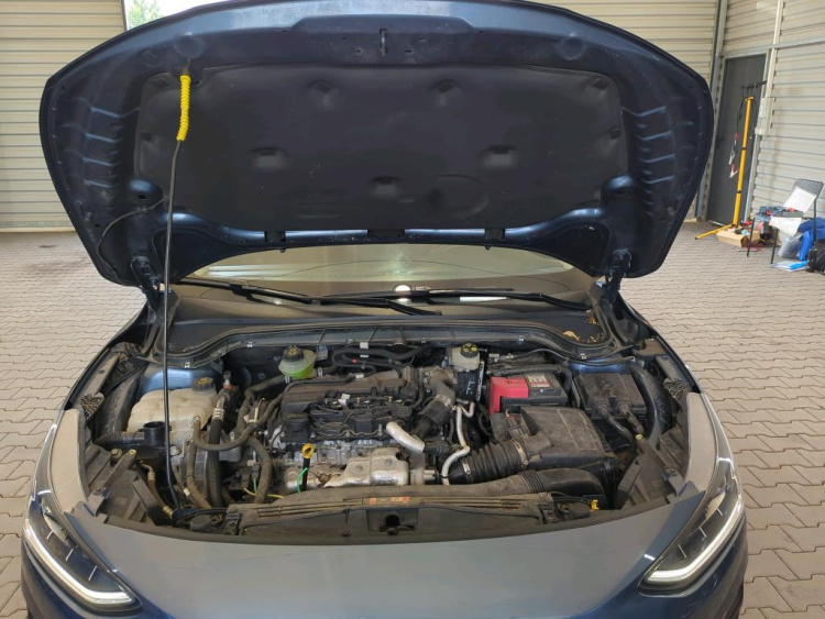 FORD Focus Diesel 2024