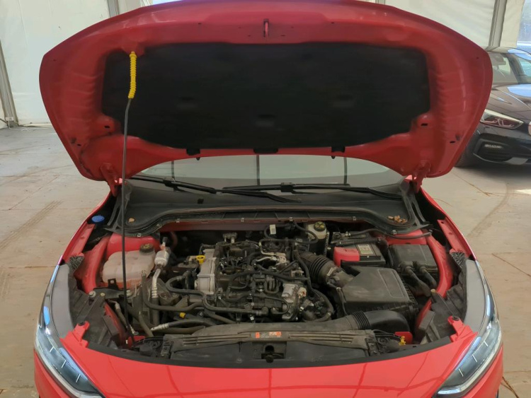 FORD Focus Petrol 2024