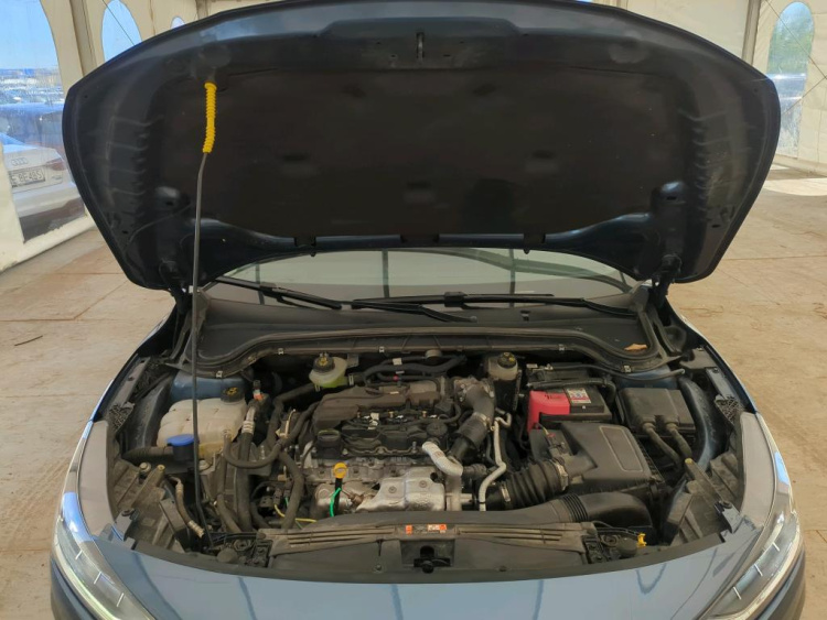 FORD Focus Diesel 2024