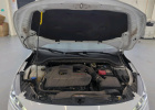 FORD Focus Petrol 2024