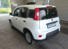 FIAT Panda Van LPG 2024