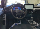 FORD Focus Petrol 2024